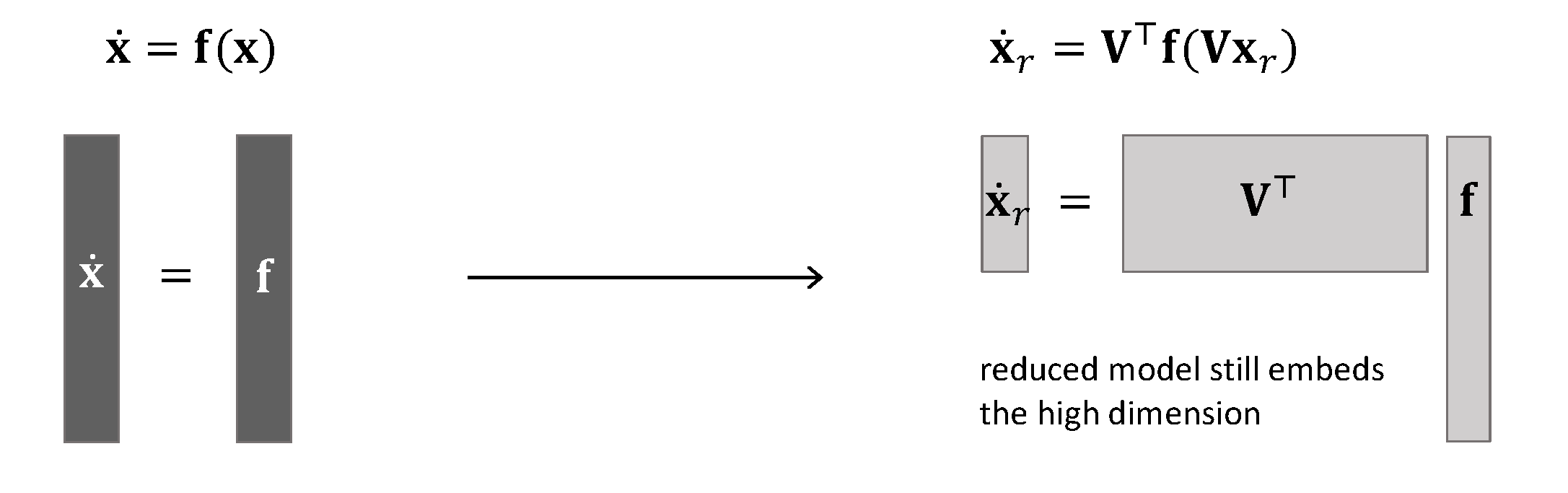 projection of a nonlinear model still embeds the high dimension of the original system
